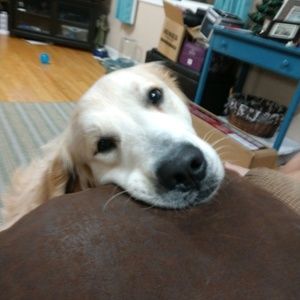 Meet your Posher, Hannah